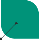 Skill: ソフトウェアテスト